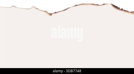 Illustration vectorielle réaliste des bords de papier brûlé Illustration de Vecteur
