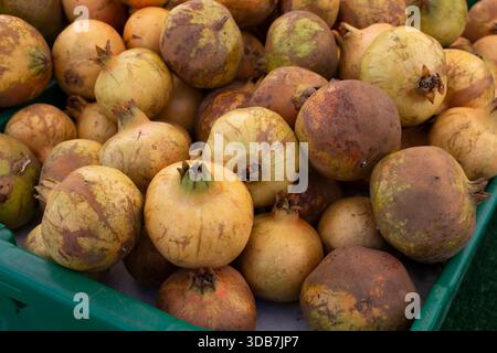 Une vue d'un tas de grenade blanche, exposée sur un marché fermier local. Banque D'Images