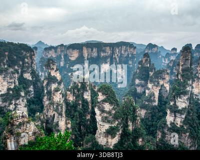 Vue panoramique sur les montagnes Avatar ou Tianzi dans le parc forestier national de Zhangjiajie, Chine. Imposants piliers de grès recouverts de verdure, classe mondiale 5A t Banque D'Images