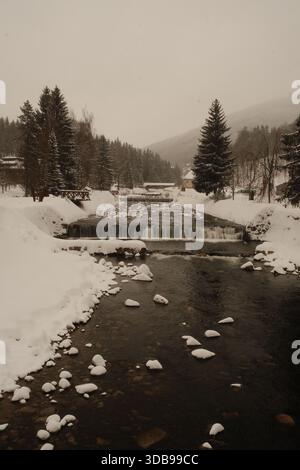 Un paysage hivernal serein, mettant en valeur un ruisseau coulant au milieu d'une forêt brumeuse et enneigée. Paisible et évocateur. Banque D'Images