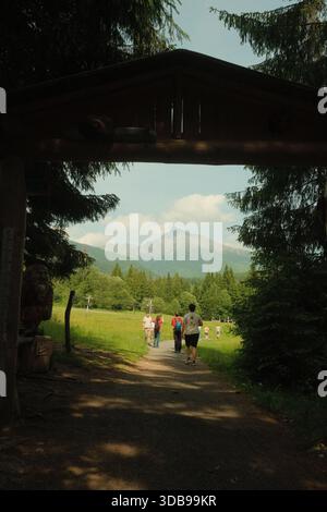 Vue panoramique des randonneurs profitant d'une journée lumineuse au milieu de superbes paysages de montagne, encadrés par des arbres. Banque D'Images