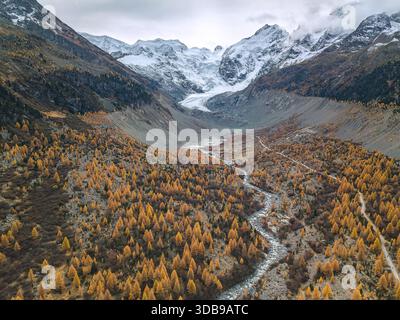 Image aérienne du Morteratsch Glaicer et de la vallée avec forêt de mélèzes en saison d'automne dorée Banque D'Images