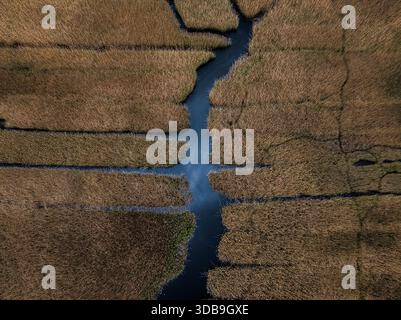 Vue aérienne de l'eau sombre serpentant à travers les herbes dorées des marais, un contraste frappant dans les textures et les tons, Boston, Massachusetts, États-Unis. Banque D'Images