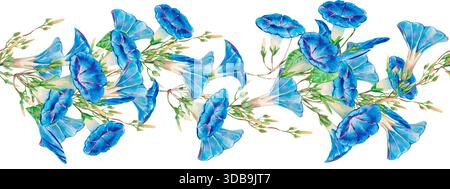 Motif floral sans couture avec fleurs bleues gloire matinale, feuilles vertes et bourgeons. Bordure horizontale de Morning Glory pour la conception festive, cartes postales, mariage Banque D'Images