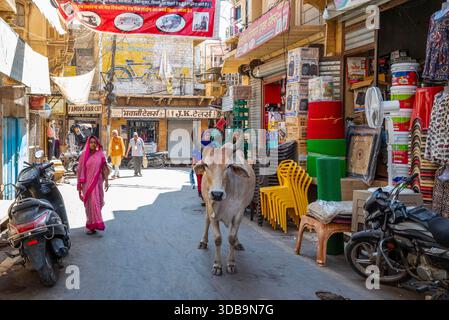 Vache sacrée marchant dans une rue en Inde Banque D'Images