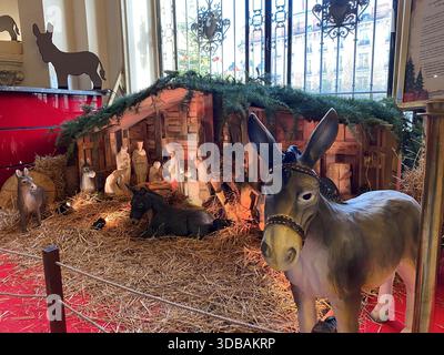 ©PHOTOPQR/LE PARISIEN/David LIVOIS ; Asnières ; 08/12/2025 ; comme à chaque Noël depuis 11 ans, une crèche a été installée dans le hall de l'Hôtel de ville. LP/D.L. Asnières, France, 8 décembre 2025 Noël et laïcité. Fatigué des procédures judiciaires, le maire d’Asnières, banlieue parisienne, hésite à installer une scène de nativité. Deux procès similaires, l’un concernant un éditorial, l’autre la présence d’une scène de nativité à la mairie, alléguaient que la ville d’Asnières et son maire (LR), ManuelAeschlimann, avaient violé le principe de laïcité. Ces poursuites ont abouti à deux opposants Banque D'Images