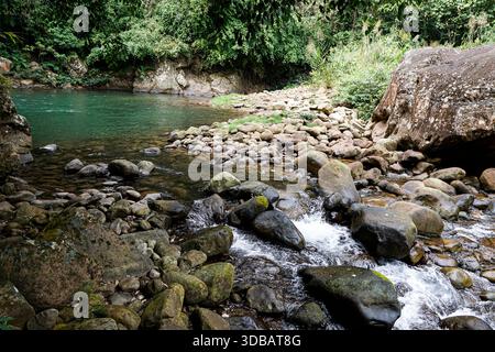 Rivière verte cristalline coulant à travers un terrain rocheux dans une forêt tropicale luxuriante, paysage naturel serein avec de petits rapides et de grands rochers. Banque D'Images