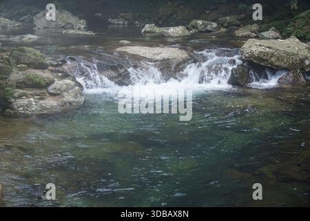 Ruisseau de montagne serein avec de l'eau turquoise claire coulant sur les rochers, une végétation luxuriante en arrière-plan. Banque D'Images