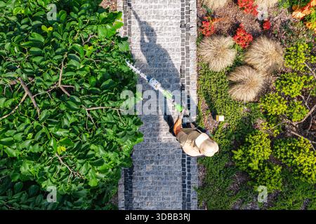 Une personne coupe des branches dans un jardin rempli de diverses plantes et fleurs sous la lumière du soleil. Banque D'Images