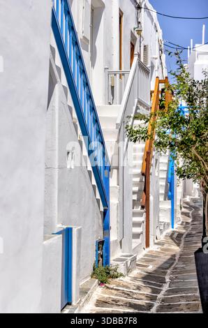 Étroite ruelle en pierre bordée de fleurs et d'arbres dans la ville de Mykonos, Cyclades, Grèce. Banque D'Images