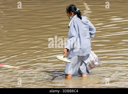 BANGKOK, THAÏLANDE, nov 09 2025, Une femme plus âgée transporte un sac en plastique patère dans une rue inondée, Bangkok, Thaïlande Banque D'Images