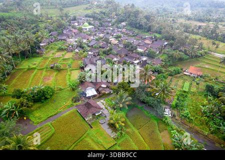 Vue aérienne d'un village javanais traditionnel avec une mosquée entourée de rizières et de forêt tropicale à Java, Indonésie. Banque D'Images