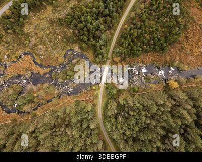 Vue aérienne d'un pont enjambant une rivière sombre et rocheuse, embrassée par des forêts automnales dans des teintes vives de vert, or et brun, Newton Stewart, Écosse Banque D'Images