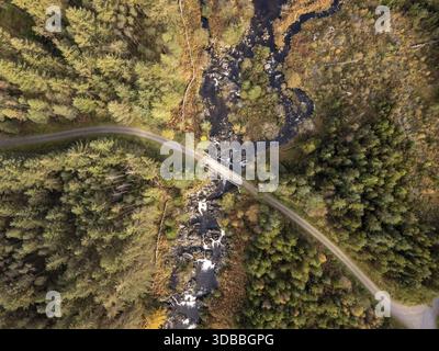 Vue aérienne d'un pont traversant une rivière, flanqué de forêts denses affichant une tapisserie de teintes automnales, Newton Stewart, Écosse, Royaume-Uni. Banque D'Images