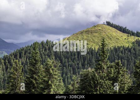 Vue depuis la route N-18 près de la montagne Prislop passez à la frontière des régions de Maramures et de Bukovina dans les montagnes de Rodna dans les Carpates orientales, Roumanie Banque D'Images