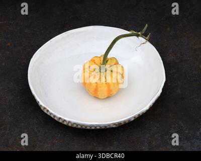 Nature morte minimaliste d'une petite citrouille décorative placée sur une plaque en céramique blanche faite à la main sur un fond texturé foncé. Nettoyer la composition et Banque D'Images