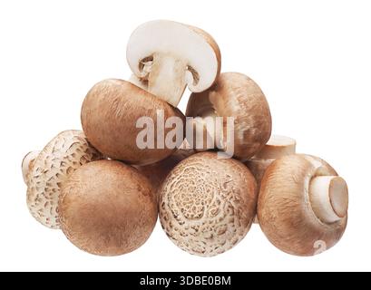 Groupe de champignons boutons bruns isolés sur blanc Banque D'Images
