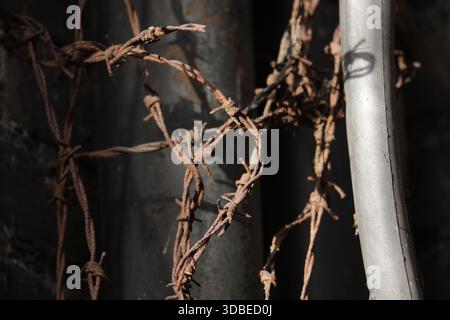 Dublin, Irlande - 10 décembre 2025 - le soleil brille sur de vieux barbwire fortement rouillés vus dans une ruelle de Dublin Banque D'Images