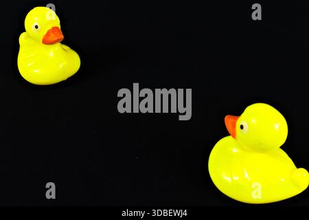 Deux canards jaunes en caoutchouc photographiés face à face sur fond noir. Banque D'Images