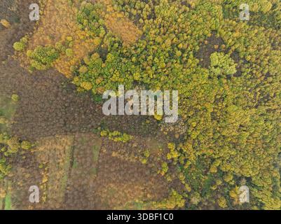 Vue aérienne d'une tapisserie de teintes automnales couvre le paysage, où les forêts verdoyantes rencontrent des champs dorés dans une danse de changement saisonnier, Serino, Irpin Banque D'Images