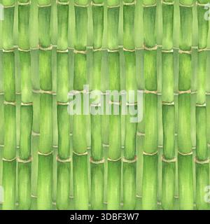 Motif sans couture dense avec tiges de bambou vert. Clipart de jardin chinois. Motif de bosquet de bambous. Illustration aquarelle dessinée à la main pour desi sur le thème asiatique Banque D'Images