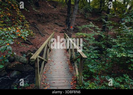 Une vue en grand angle d'une passerelle rustique en bois couverte de feuilles d'automne tombées, enjambant un petit ravin dans l'historique Ramlosa Brunnspark, Helsingbo Banque D'Images