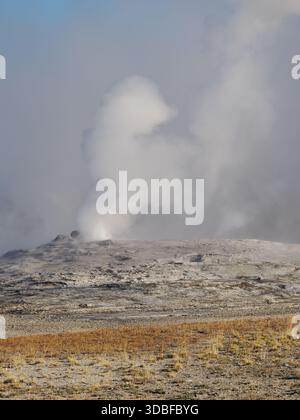 Un panache de vapeur dense et épais jaillit d'un geyser dans le bassin thermal de Yellowstone, sur fond de brume grise et de terrain d'automne. Banque D'Images