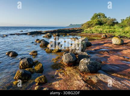 Une scène côtière tranquille avec des rochers couverts de mousse dispersés le long du rivage rouge, des bassins de marée et une végétation verte luxuriante, s'étendant vers loin Banque D'Images