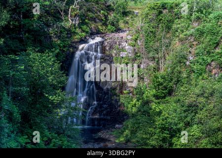Une cascade pittoresque coule sur des corniches rocheuses dans une forêt luxuriante. La lumière du soleil filtre à travers les arbres denses, créant une scène tranquille et naturelle idéale pour la nature Banque D'Images