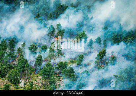 La fumée augmente de façon spectaculaire lorsqu'un incendie prescrit transforme des zones de la forêt nationale Huron-Manistee, favorisant ainsi une nouvelle croissance de l'écosystème. Banque D'Images