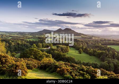 Campagne écossaise panoramique à Scott's View avec des collines ondulantes, des arbres et un coucher de soleil vibrant. Banque D'Images
