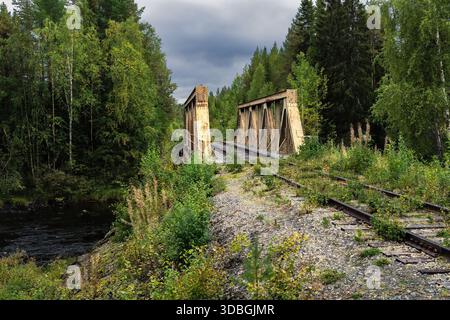 Ancien pont ferroviaire abandonné avec des fermes métalliques rouillées et des voies envahies par la végétation s'étendant sur une rivière sombre, entouré d'une forêt verte dense sous un Clo Banque D'Images
