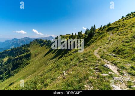 Un sentier de montagne serein serpente à travers des prairies vibrantes et des forêts denses, évoquant la tranquillité et l'aventure sous un ciel clair à Bregenzerwald Vorarlbe Banque D'Images