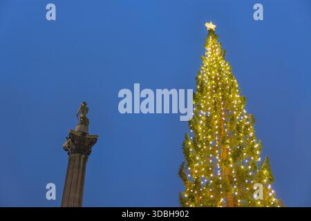 L'arbre de Noël nordique et la colonne de Nelson à Trafalgar Square, 2025, Londres, Angleterre. Banque D'Images