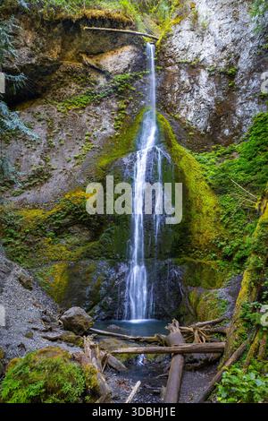 Les superbes chutes de Marymere coulent de façon spectaculaire le long d'une cascade rocheuse, entourée d'une forêt animée et drapée de mousse dans le parc national olympique, lavant Banque D'Images