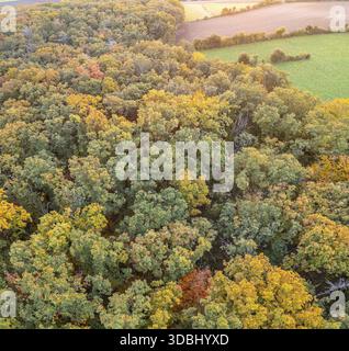 Vue aérienne des champs et de la forêt d'automne sur Grossauer Hoehe, Berndorf, basse-Autriche, Autriche Banque D'Images