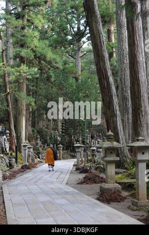 Okunoin (ou Oku-no-in) - site et cimetière bouddhistes sacrés sur le mont Koya dans la préfecture de Wakayama, Japon avec mausolée Kukai et plus de 200 000 tombes Banque D'Images