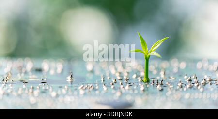 Les progrès de la technologie électronique et numérique stimulent les innovations d'ingénierie verte, les entreprises technologiques développent du matériel écologique, des conceptions de puces t Banque D'Images