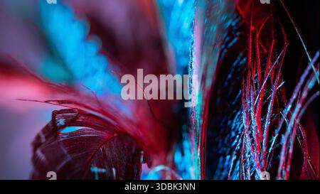 Vue des plumes vibrantes dansent dans une symphonie de cramoisi et d'Azur, illuminée par une lueur fascinante, un affichage captivant de couleur et de texture, Port Banque D'Images