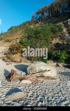 Plage naturelle sur les falaises. Parc national de Wolin Banque D'Images