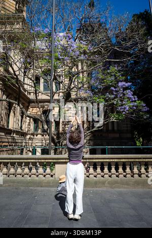 Touriste chinois exerçant devant l'hôtel de ville de Sydney, quartier central des affaires, Sydney, Nouvelle-Galles du Sud, Australie Banque D'Images