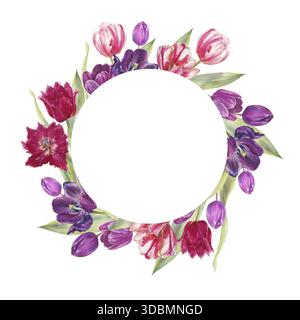 Ensemble d'illustration d'aquarelle de tulipes de différentes formes et couleurs. Éléments floraux peints à la main parfaits pour les dessins botaniques, les emballages, les textiles Banque D'Images