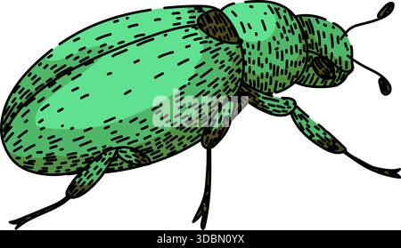 Dessin de scarabée vert représentant l'entomologie Illustration de Vecteur