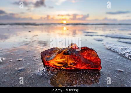 ambre échoué sur la plage au coucher du soleil Banque D'Images