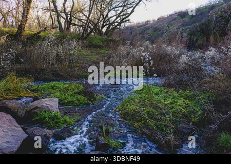 rapides. eaux bleues en hiver sur la rive. rivière fleurie en hiver Banque D'Images