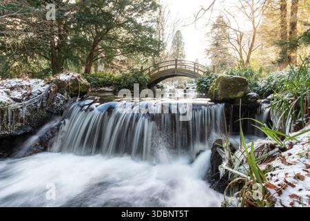 Une scène hivernale paisible dans un jardin japonais avec un petit pont voûté, une cascade qui coule, de la neige et des plantes glacées. Banque D'Images