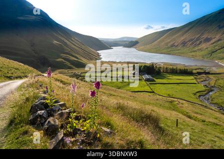 Vue panoramique sur la vallée du réservoir Talla, collines ondulantes, ferme et fleurs sauvages vibrantes sous ciel clair. Banque D'Images