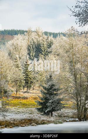 Un pont gelé dans une vallée entourée d'une forêt mixte avec épicéa de norvège (Picea abies) et hêtre européen (Fagus sylvatica) blanc de roarfrost, par une journée ensoleillée en hiver, Bavière, Allemagne, Europe Banque D'Images
