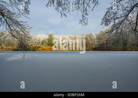 Un pont gelé dans une vallée entourée d'une forêt mixte avec épicéa de norvège (Picea abies) et hêtre européen (Fagus sylvatica) blanc de roarfrost, par une journée ensoleillée en hiver, Bavière, Allemagne, Europe Banque D'Images