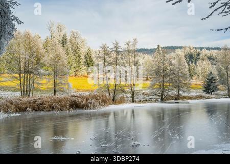 Un pont gelé dans une vallée entourée d'une forêt mixte avec épicéa de norvège (Picea abies) et hêtre européen (Fagus sylvatica) blanc de roarfrost, par une journée ensoleillée en hiver, Bavière, Allemagne, Europe Banque D'Images